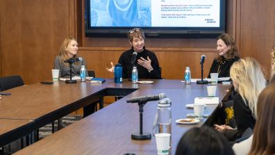 Gender Norms roundtable