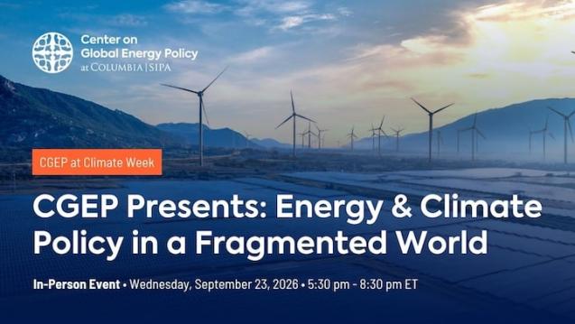 Energy and Climate Policy in a Fragmented World