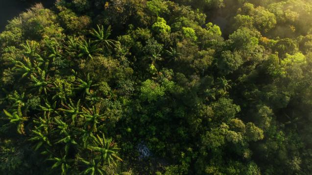 Brazil Climate Futures