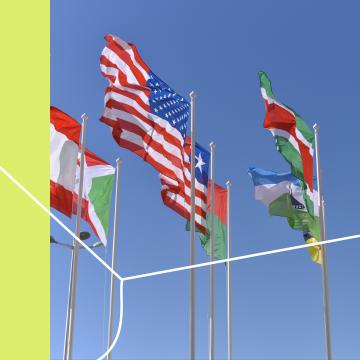 Flags