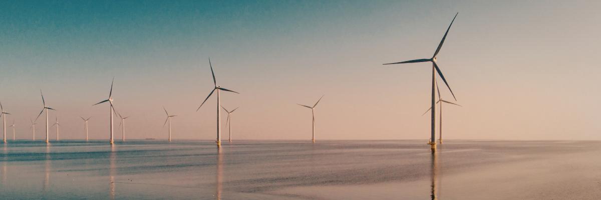 Global Resilience and Climate Security Task Force
